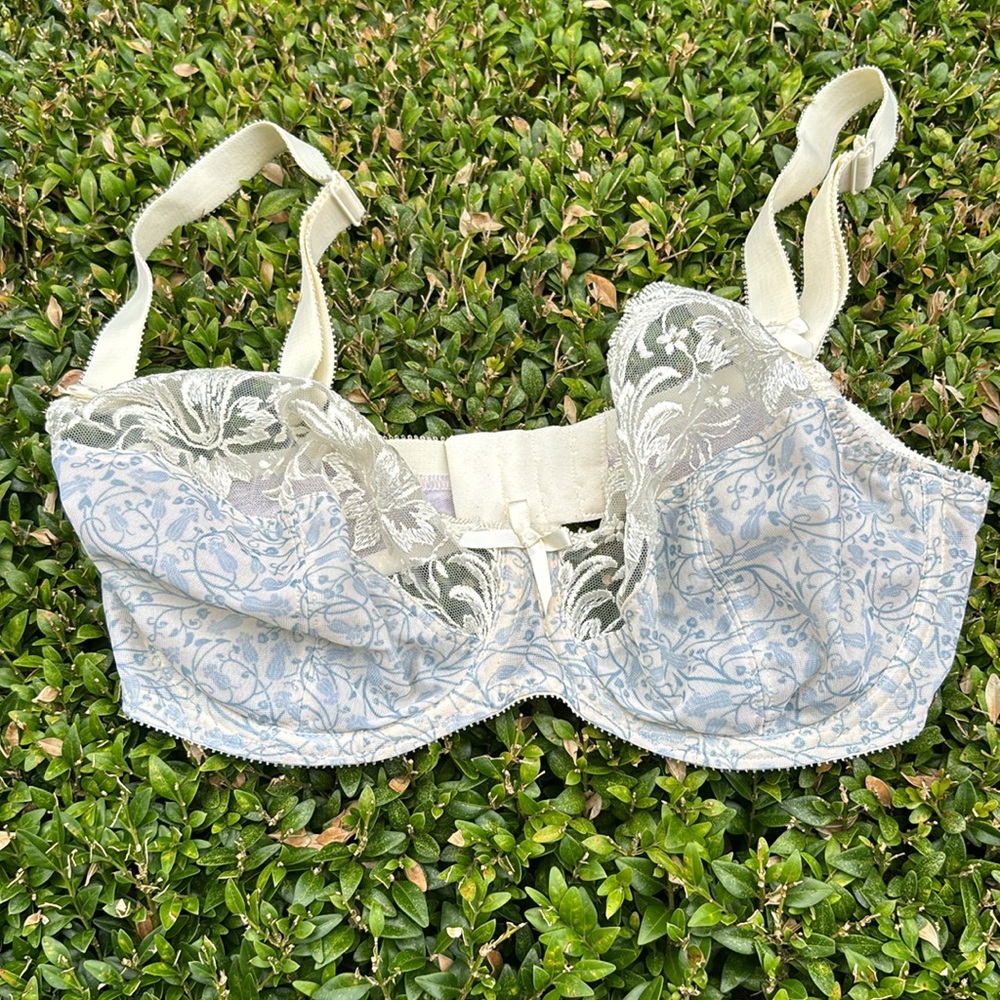 Fantasie 6715bl 6715 Blue Bell Cream Blue Floral Lace Bra 32F